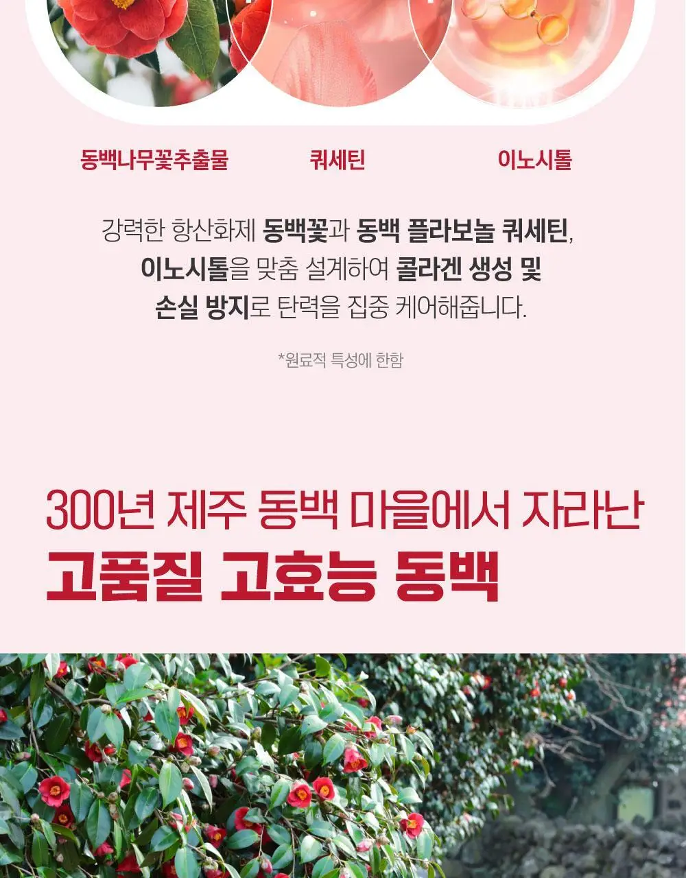 [볼륨탄력] 라운드랩 동백 딥 콜라겐 탄력 앰플 30ml 상세페이지 25